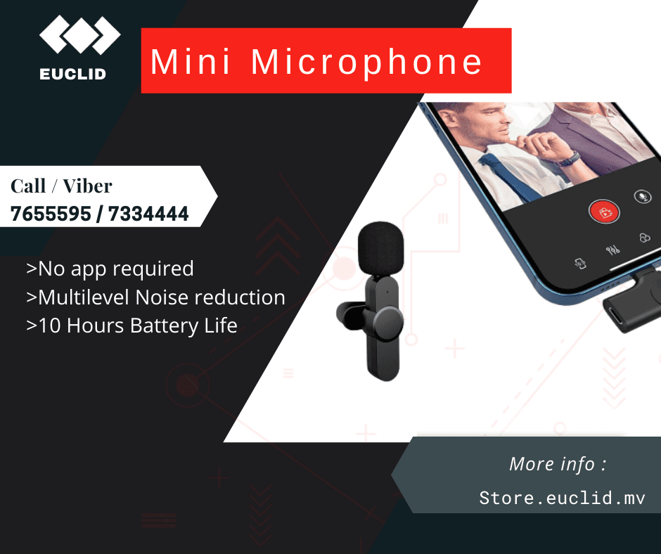 27006 MINI MICOPHONE